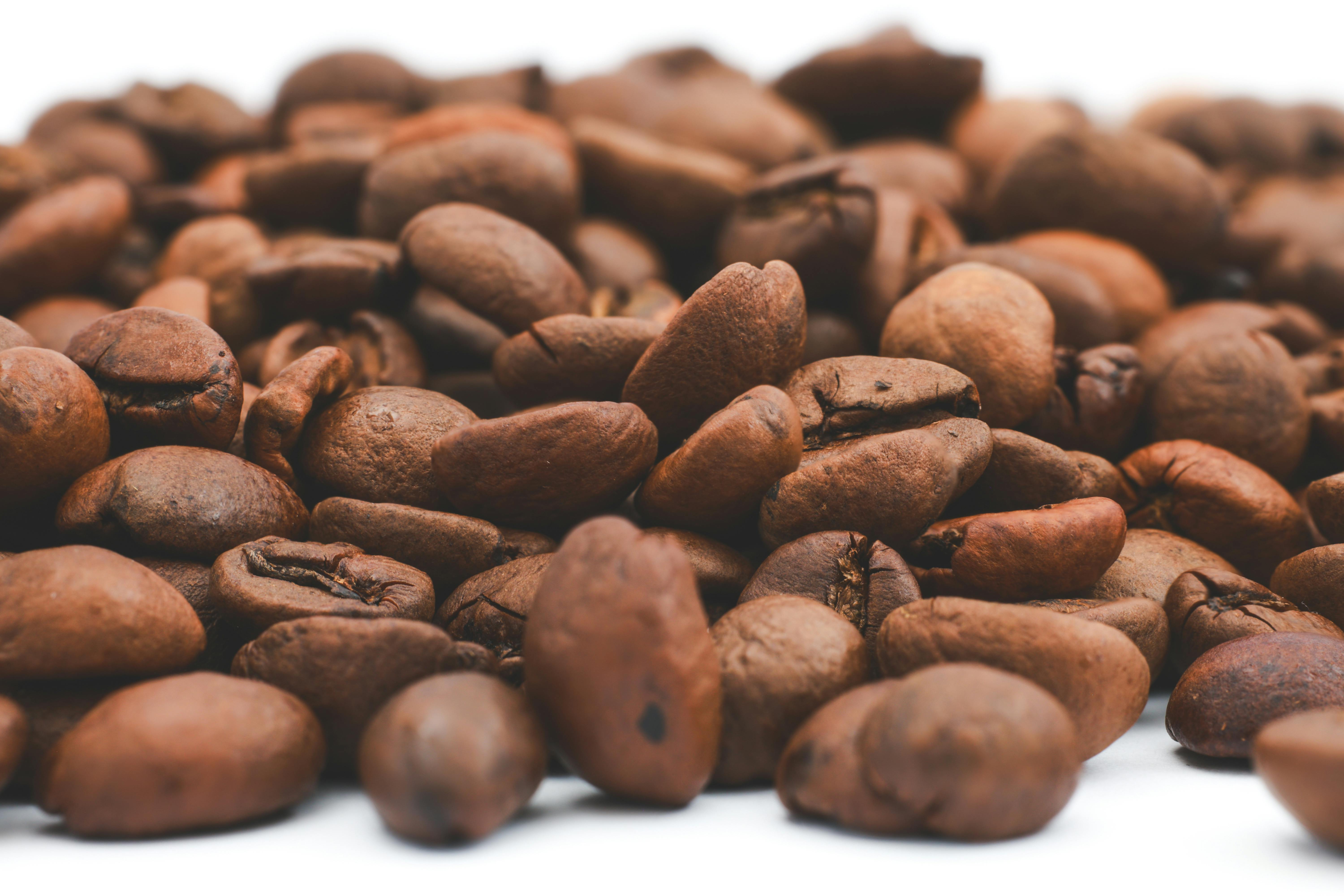 Kenyan Coffee