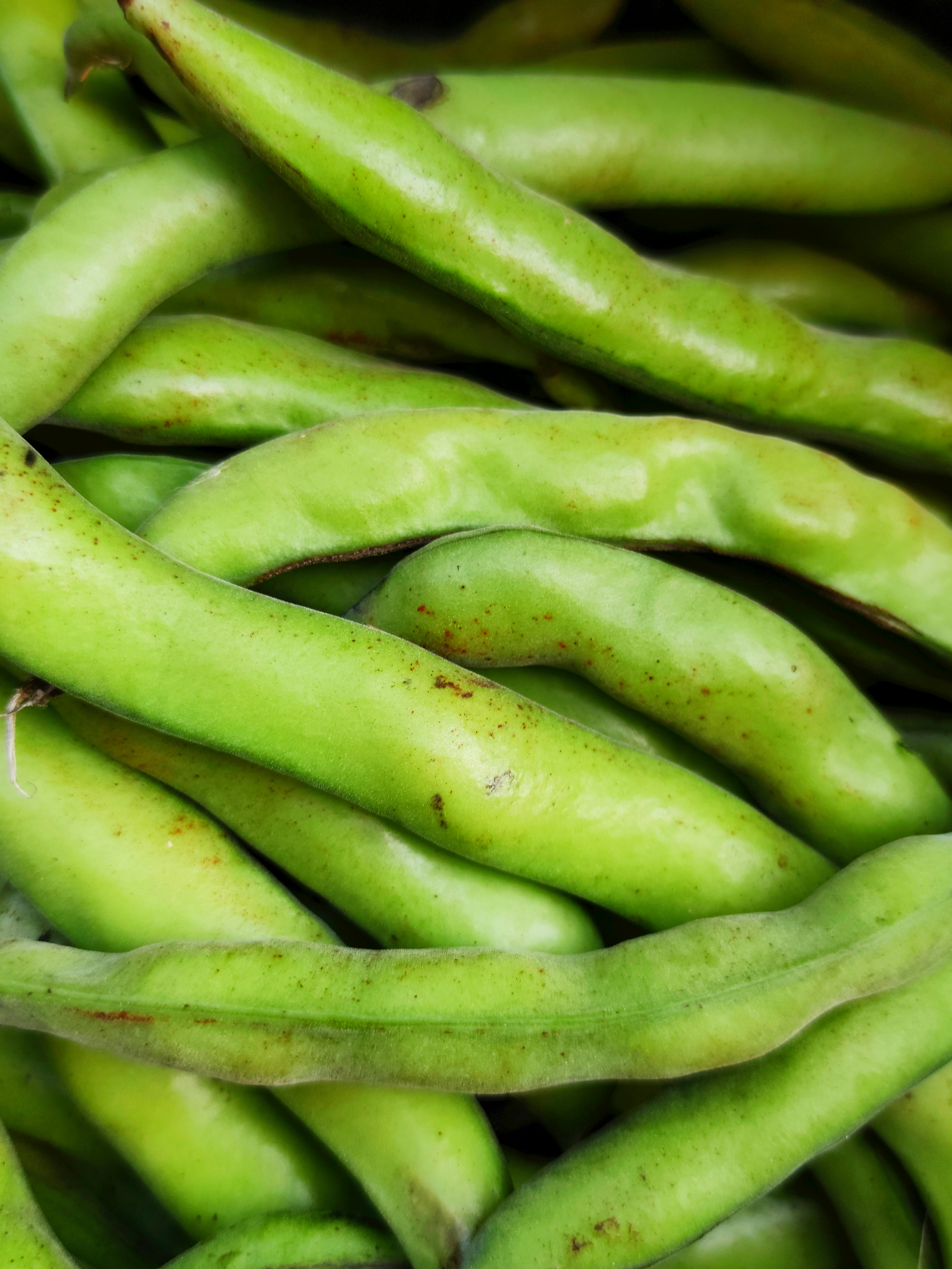 French Beans
