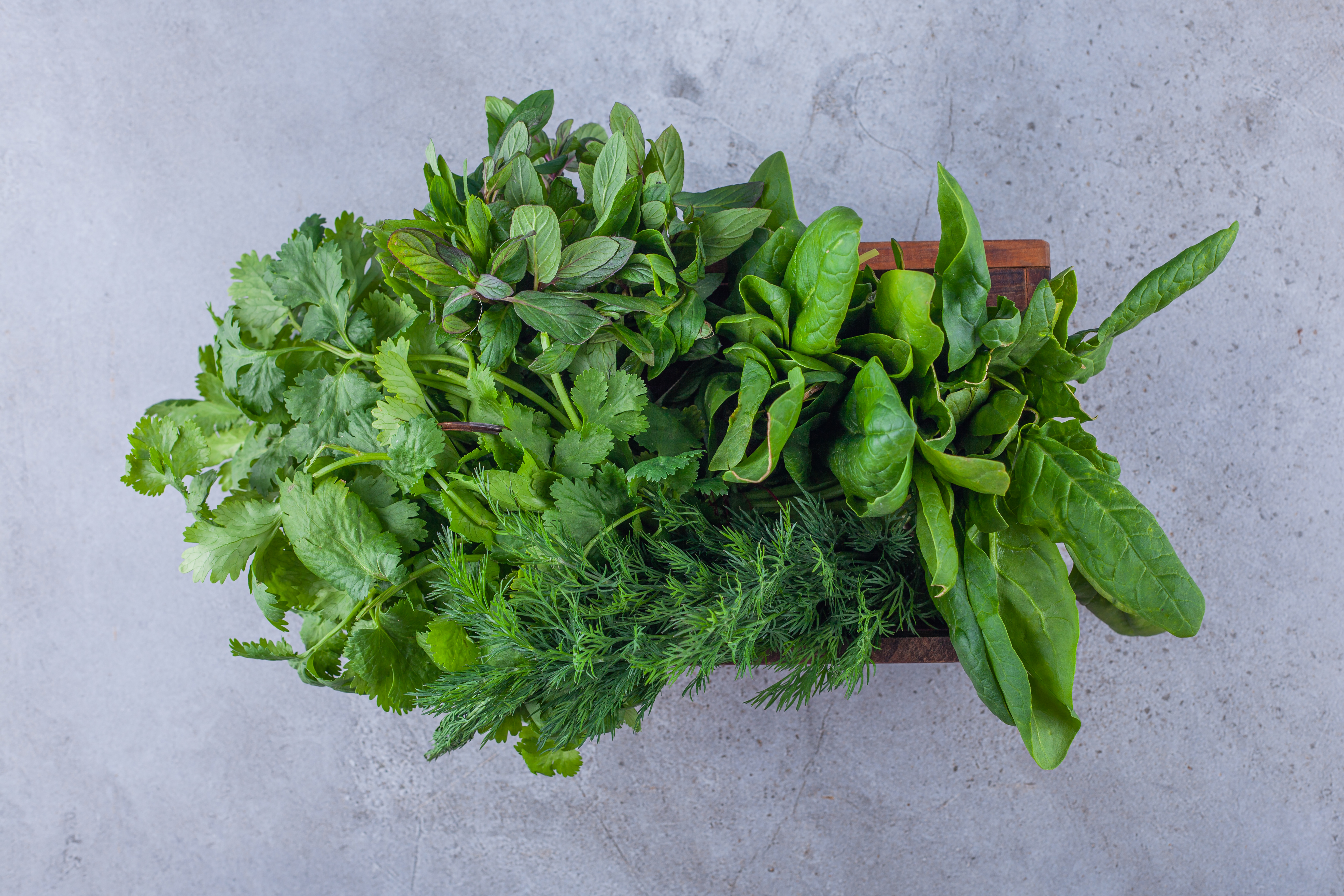 Fresh Herbs - Rosemary, Thyme, Mint, Basil